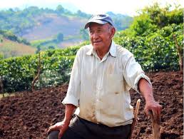 Агроном хизмати